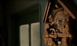 在线观看闰年,穿越时空的浪漫奇遇