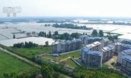 今日农村爆料最新消息,最新动态揭示农村发展新趋势